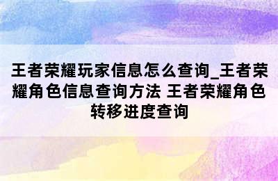 王者荣耀玩家信息怎么查询_王者荣耀角色信息查询方法 王者荣耀角色转移进度查询